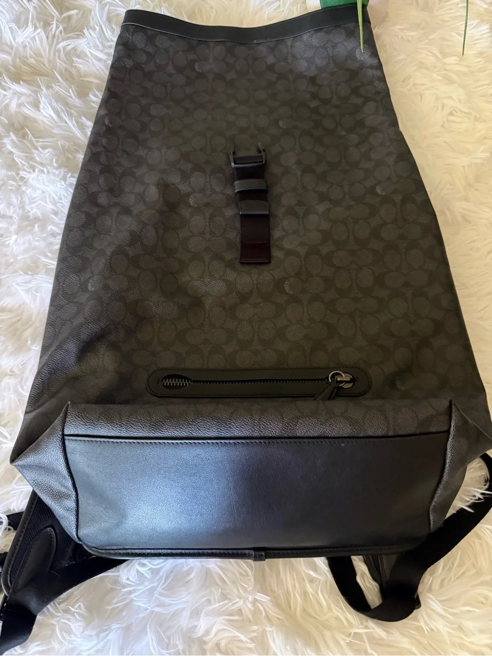 Coach stylish roll